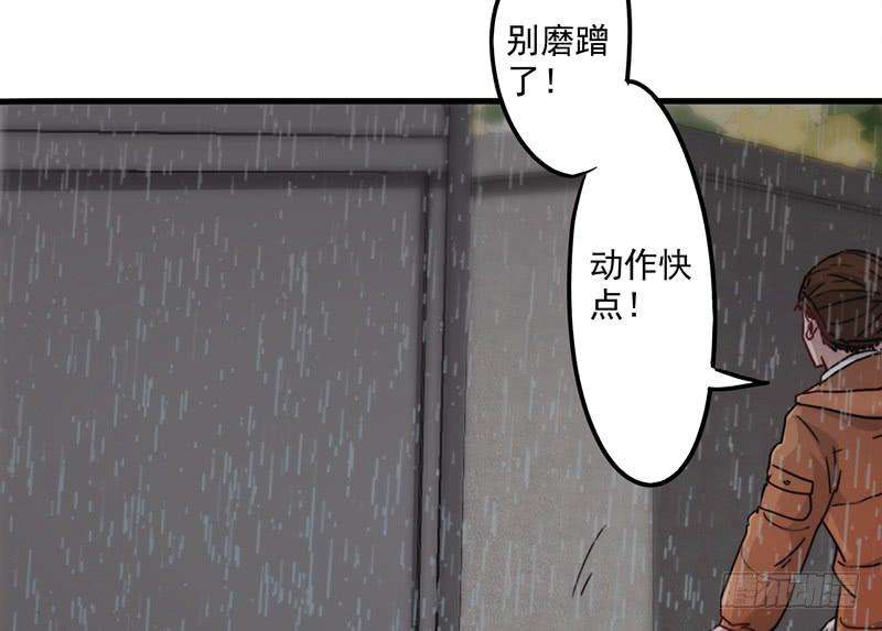 39.jpg