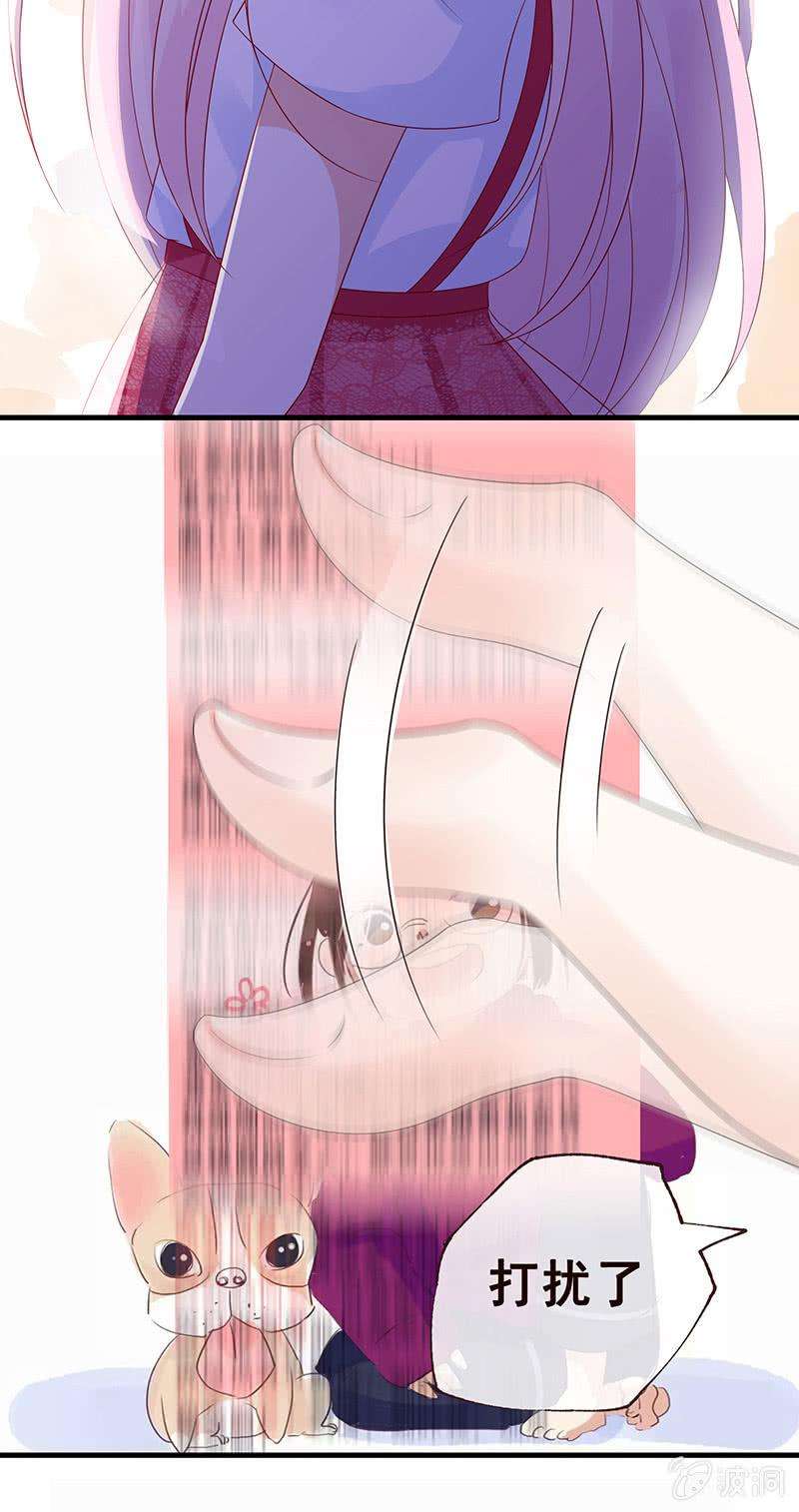 25.jpg