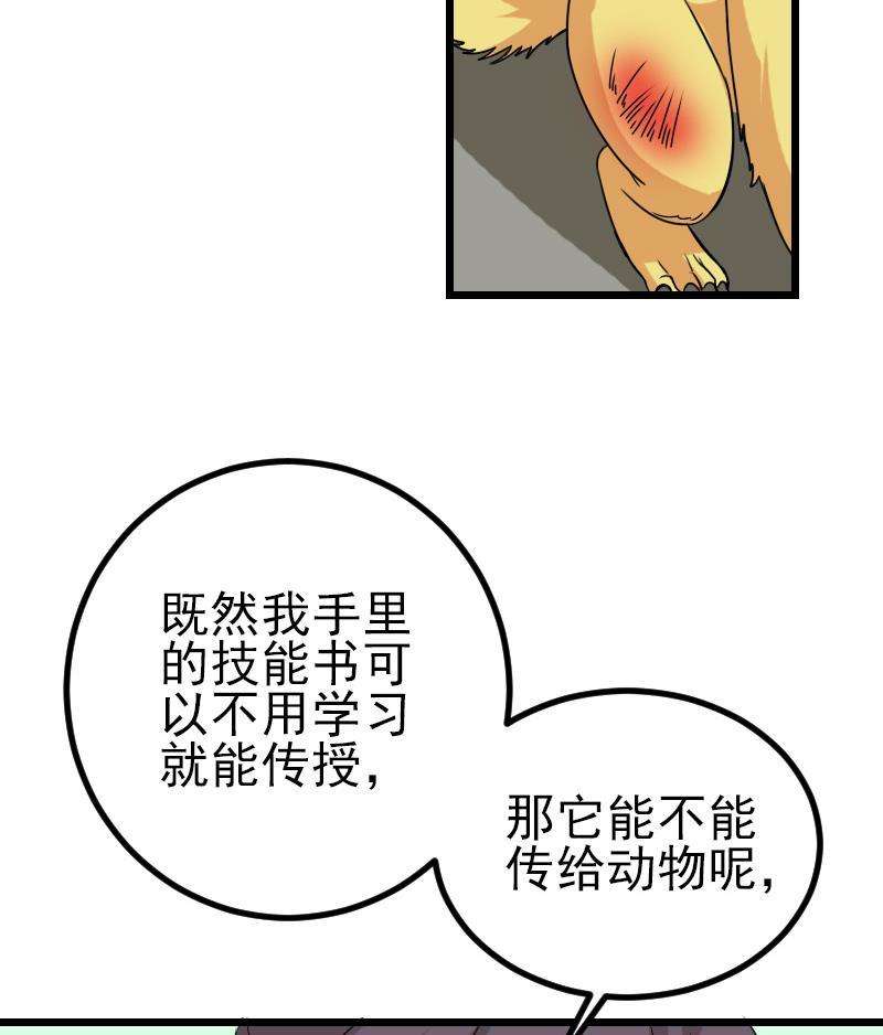 26.jpg