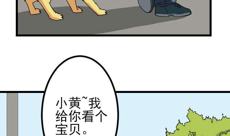 40.jpg