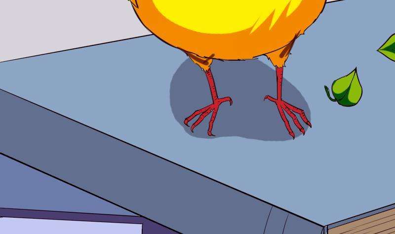49.jpg