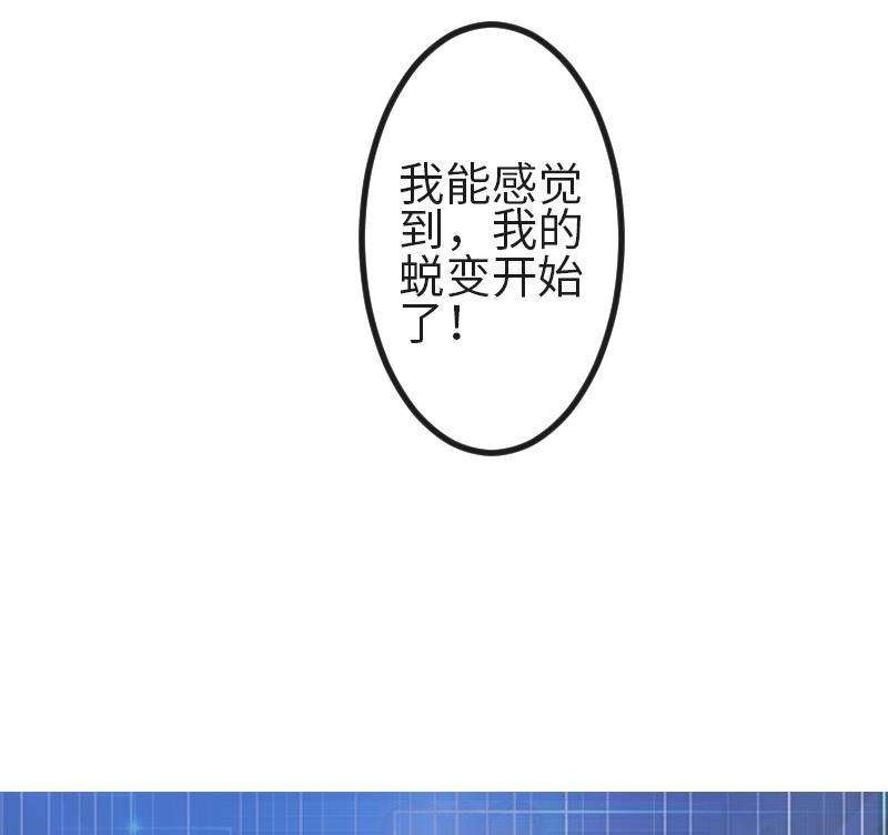 65.jpg