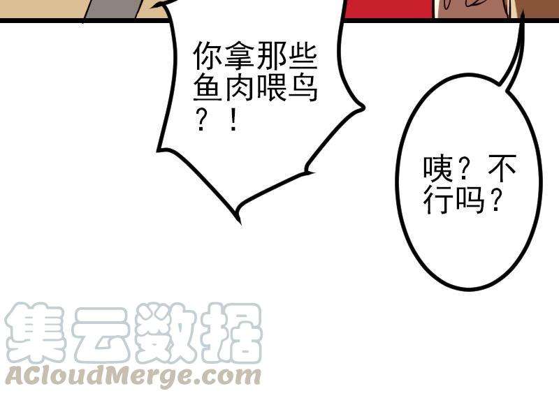 61.jpg