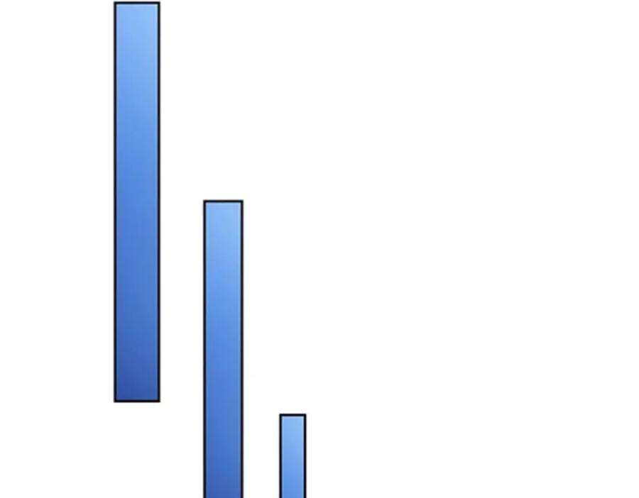 95.jpg