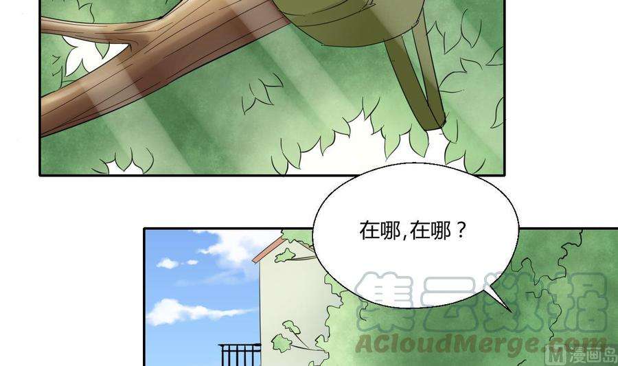 21.jpg
