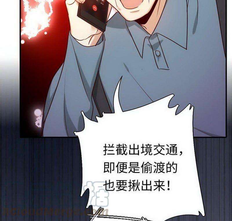 51.jpg