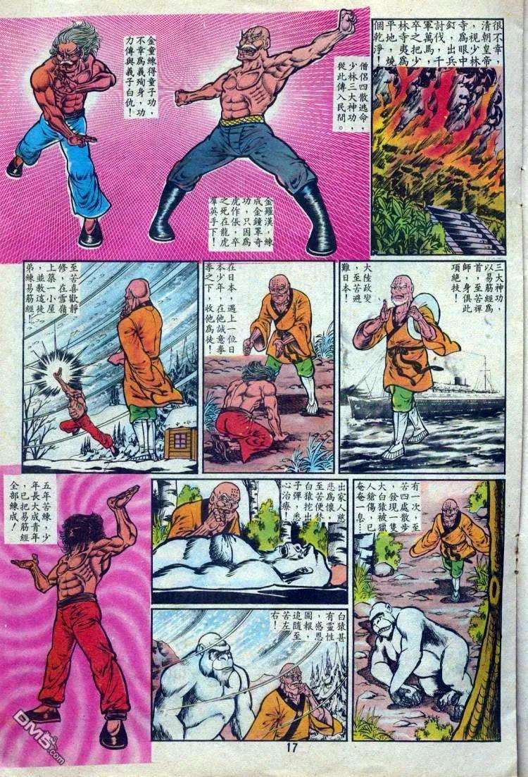 16.jpg