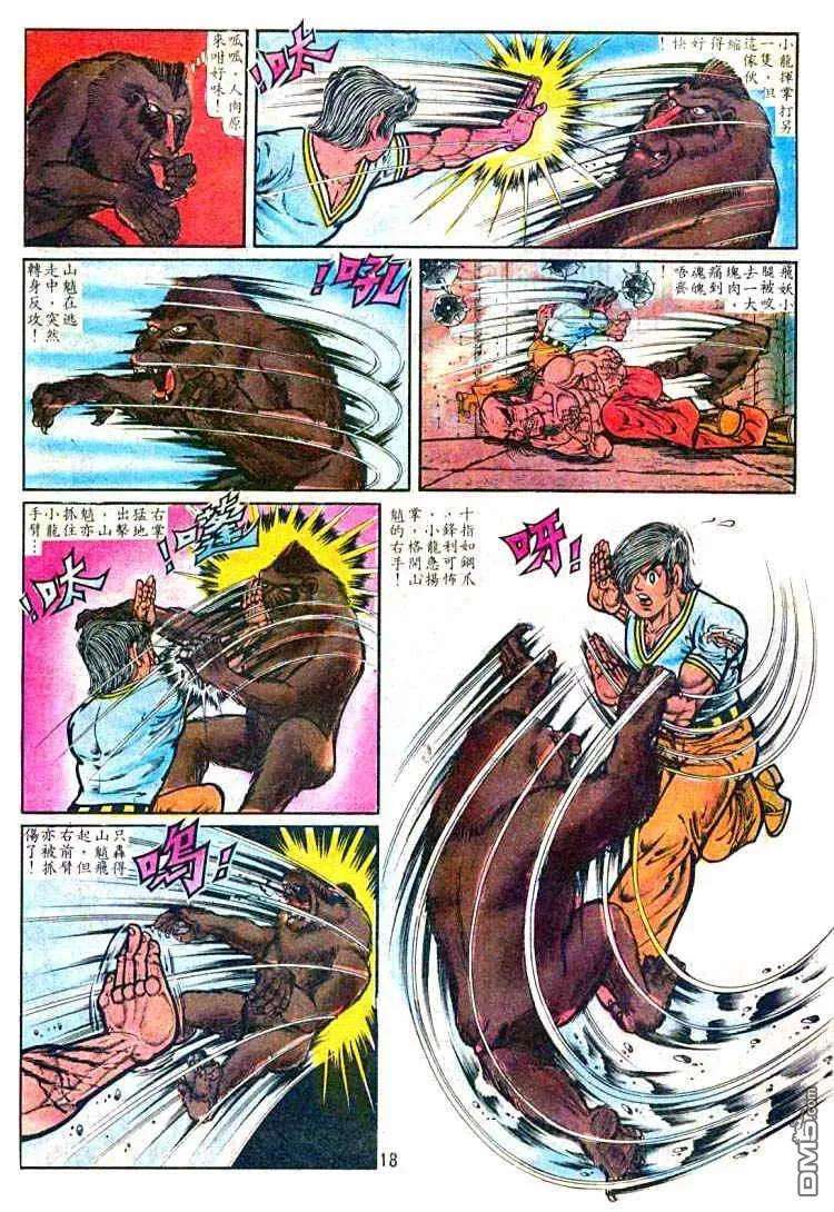 16.jpg