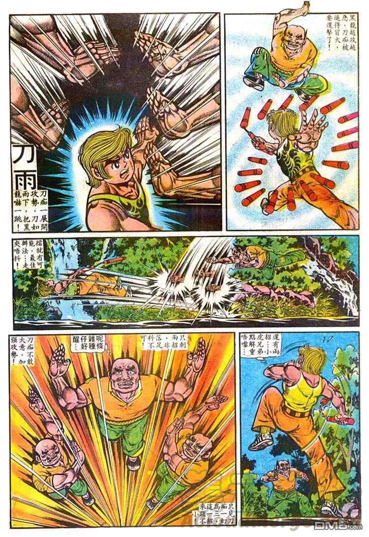 5.jpg