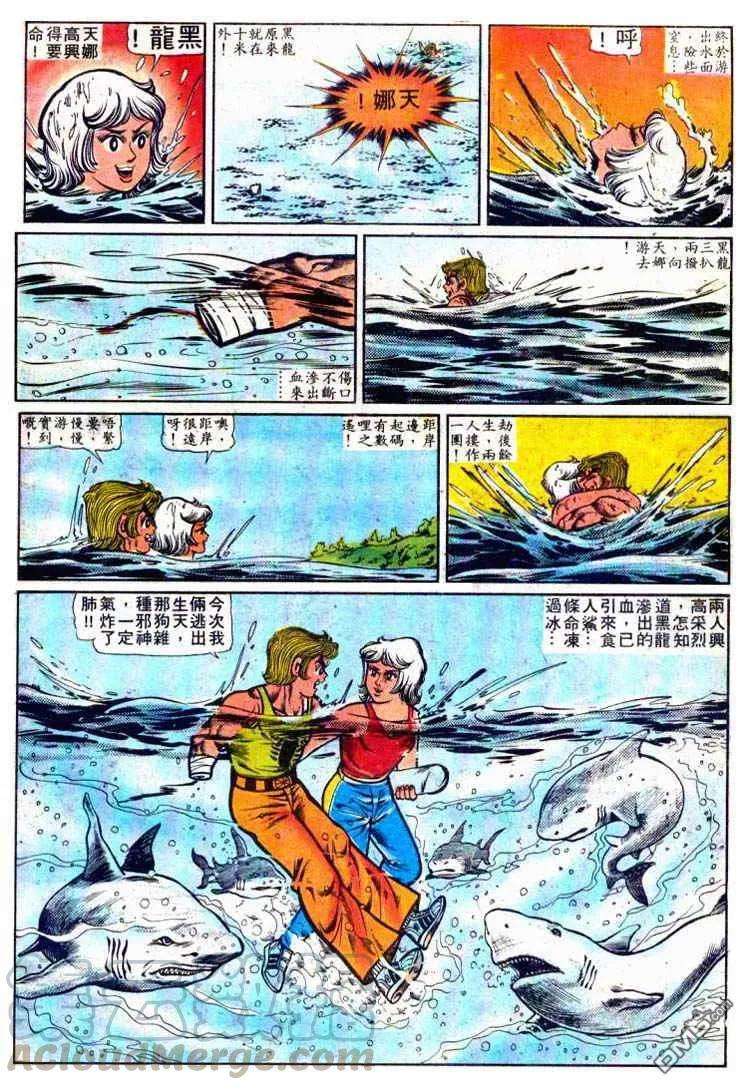 13.jpg