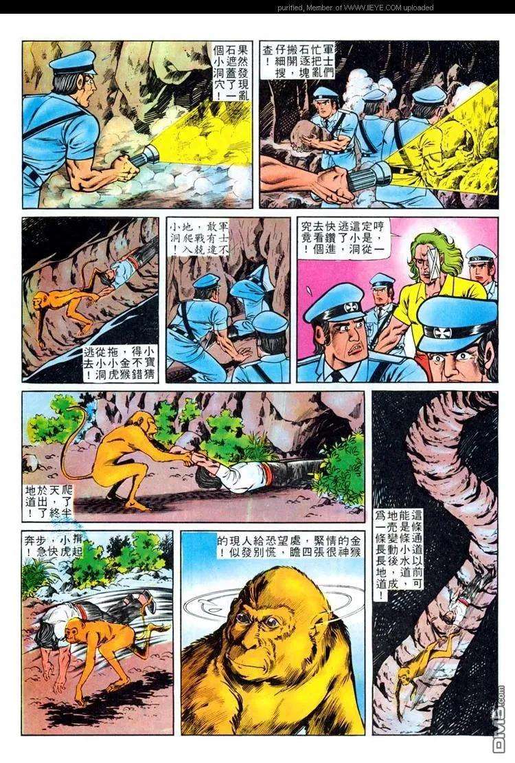 26.jpg