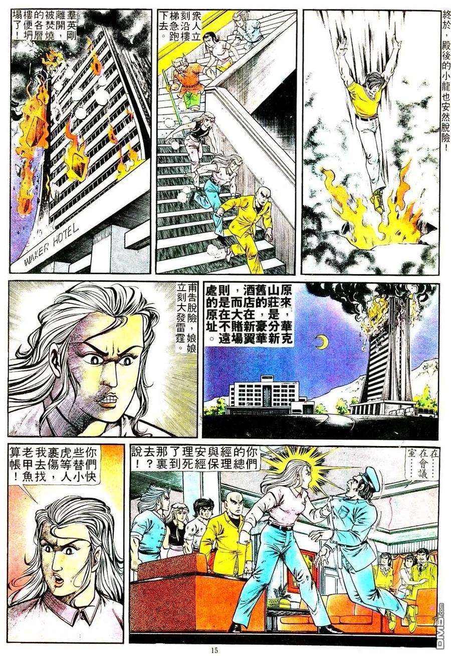 15.jpg