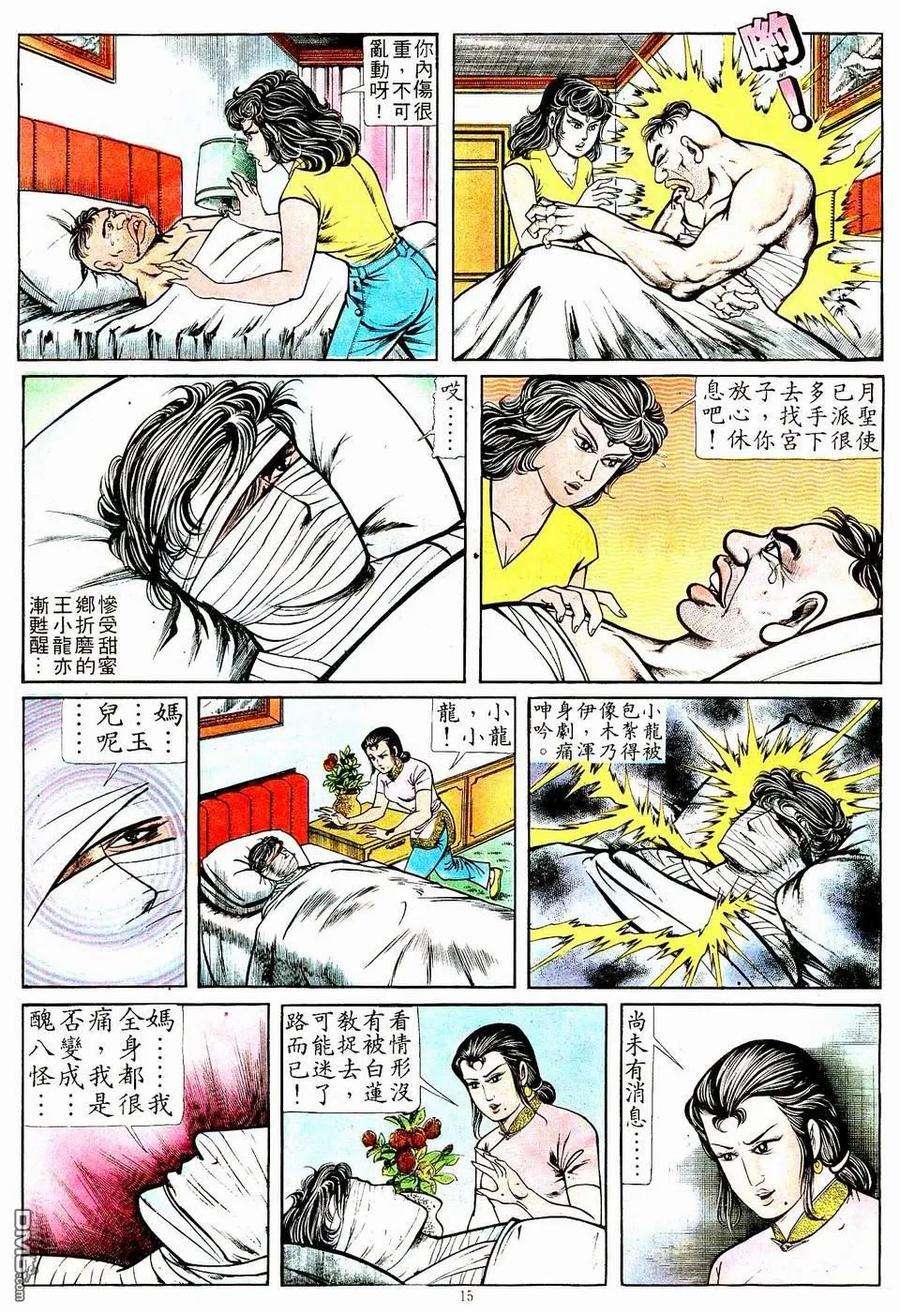 15.jpg