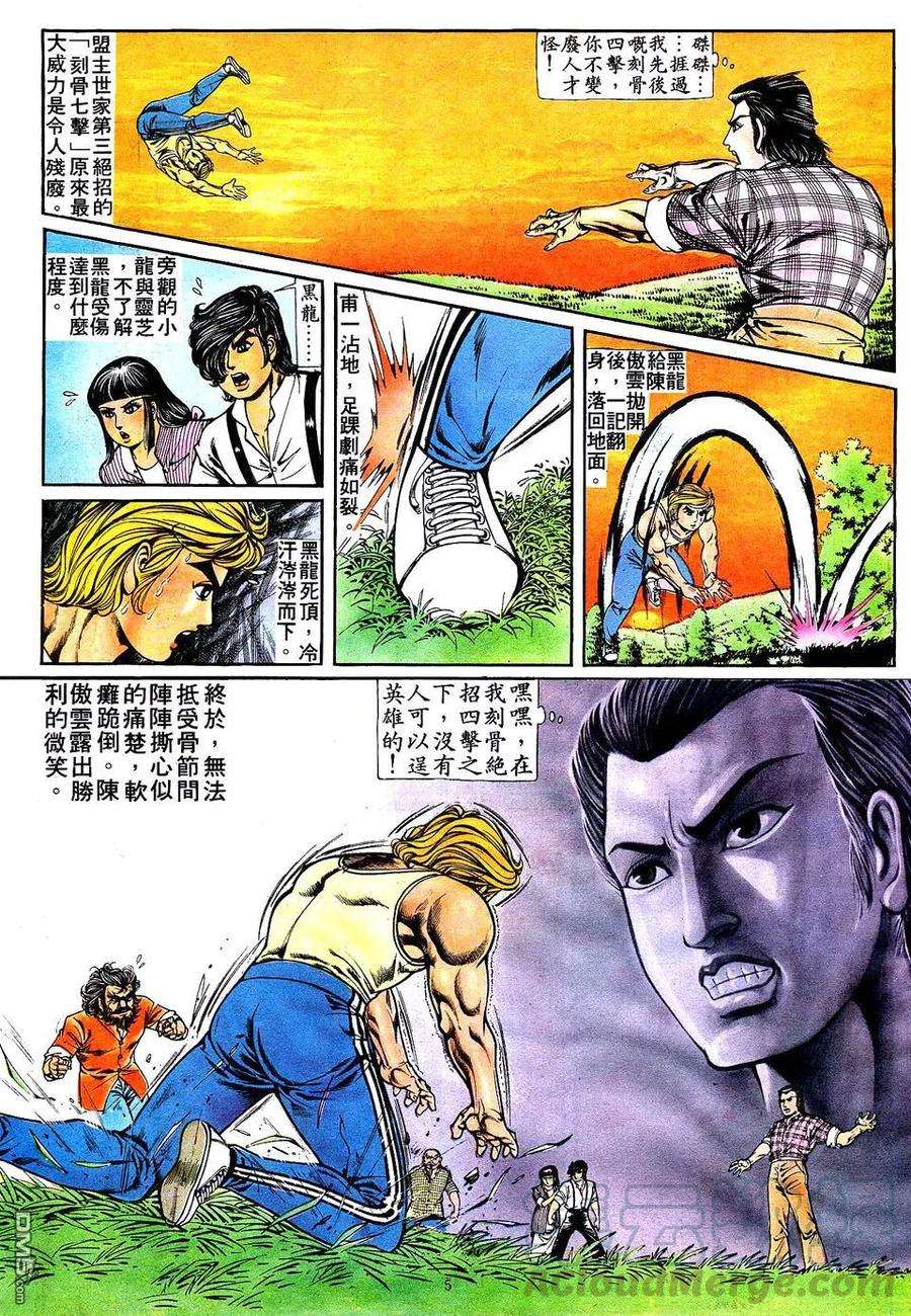 5.jpg