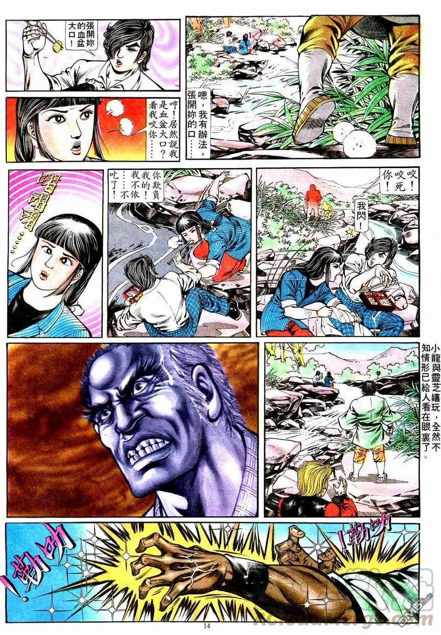 13.jpg
