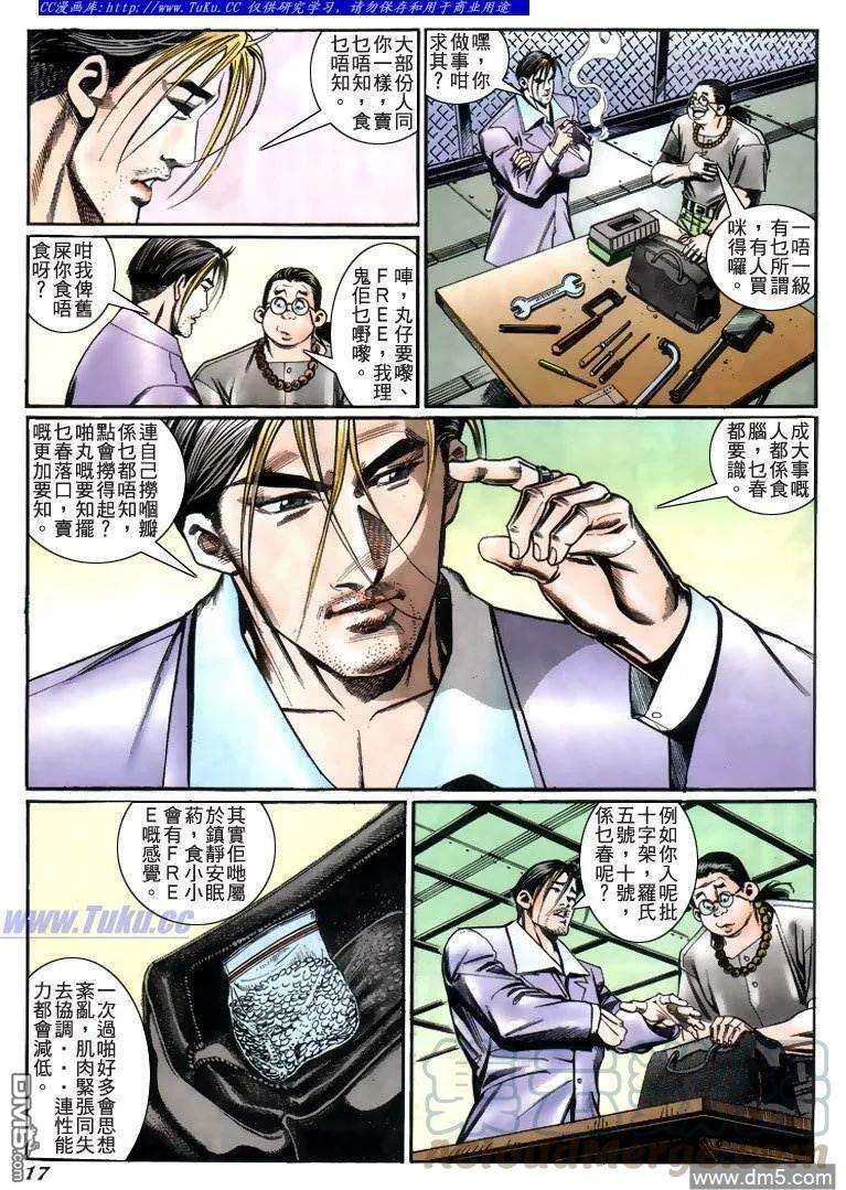 13.jpg