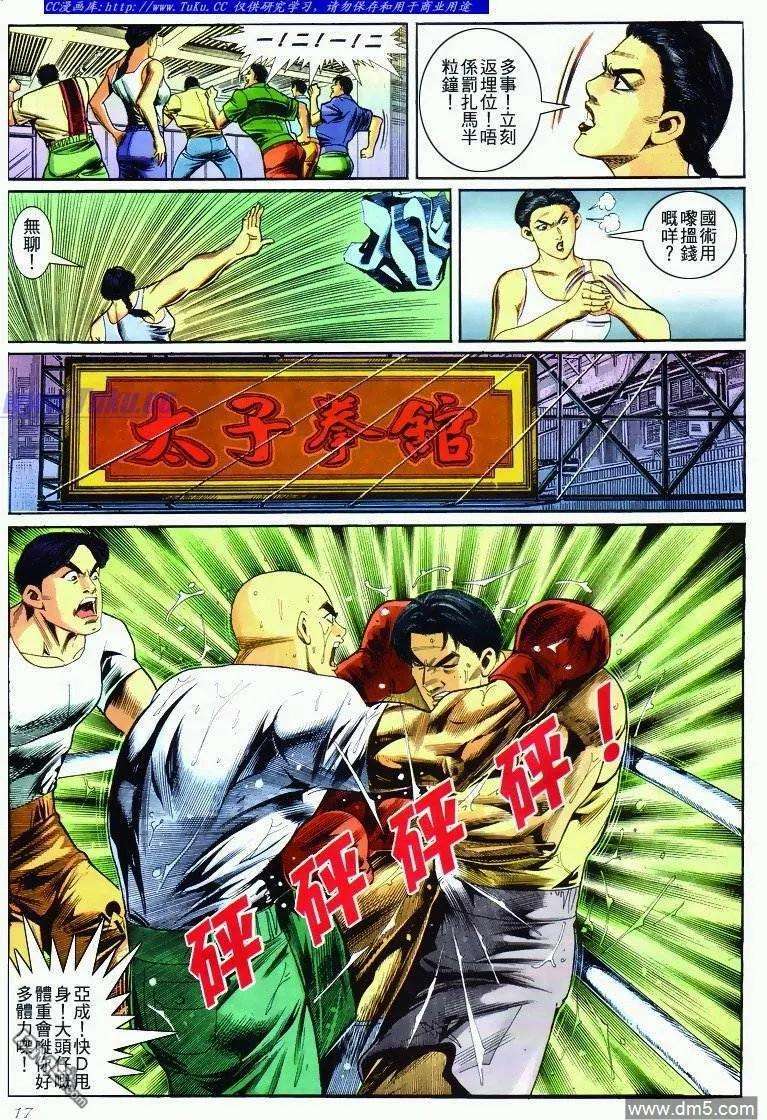 15.jpg