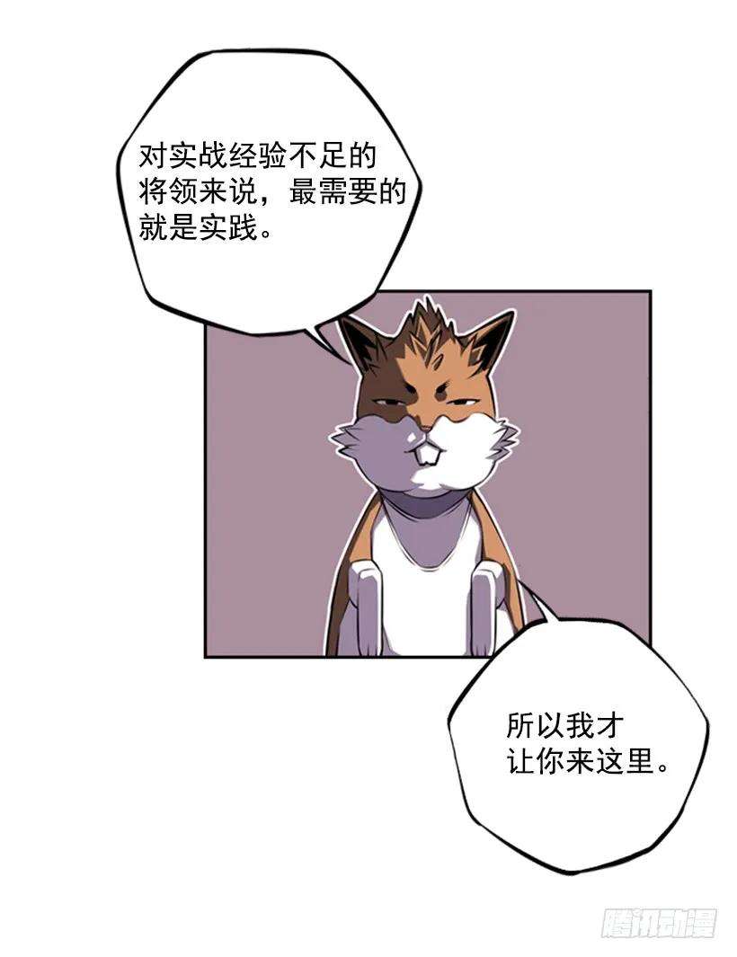 31.jpg