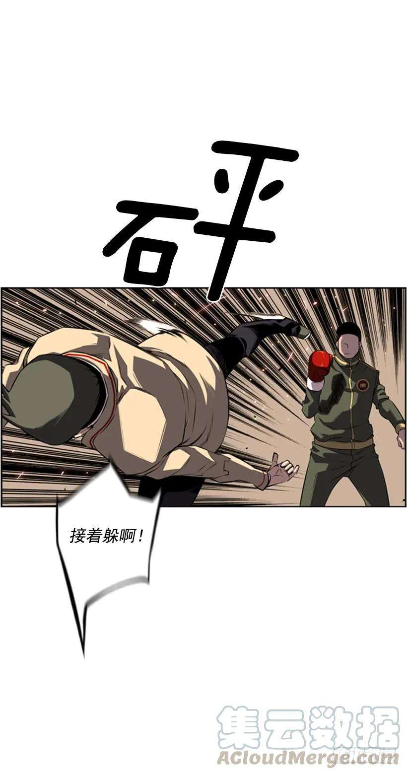 41.jpg
