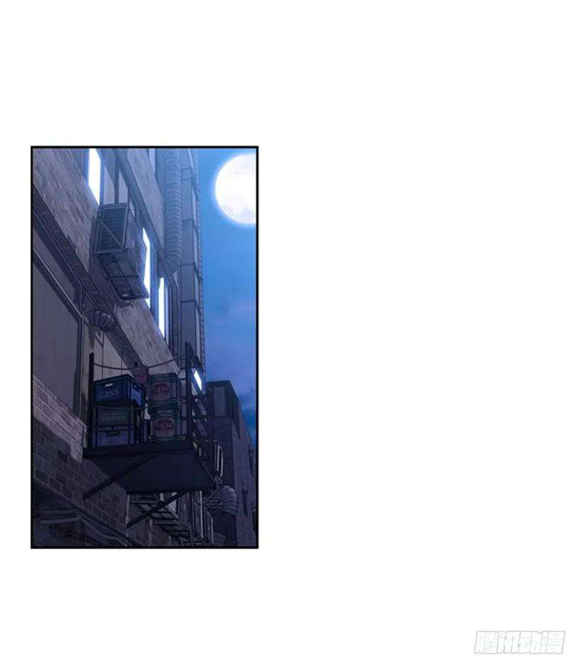 28.jpg
