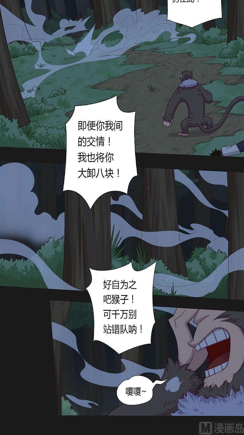 15.jpg