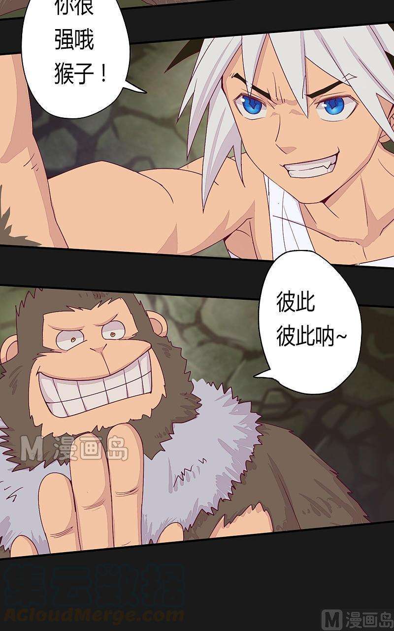 21.jpg