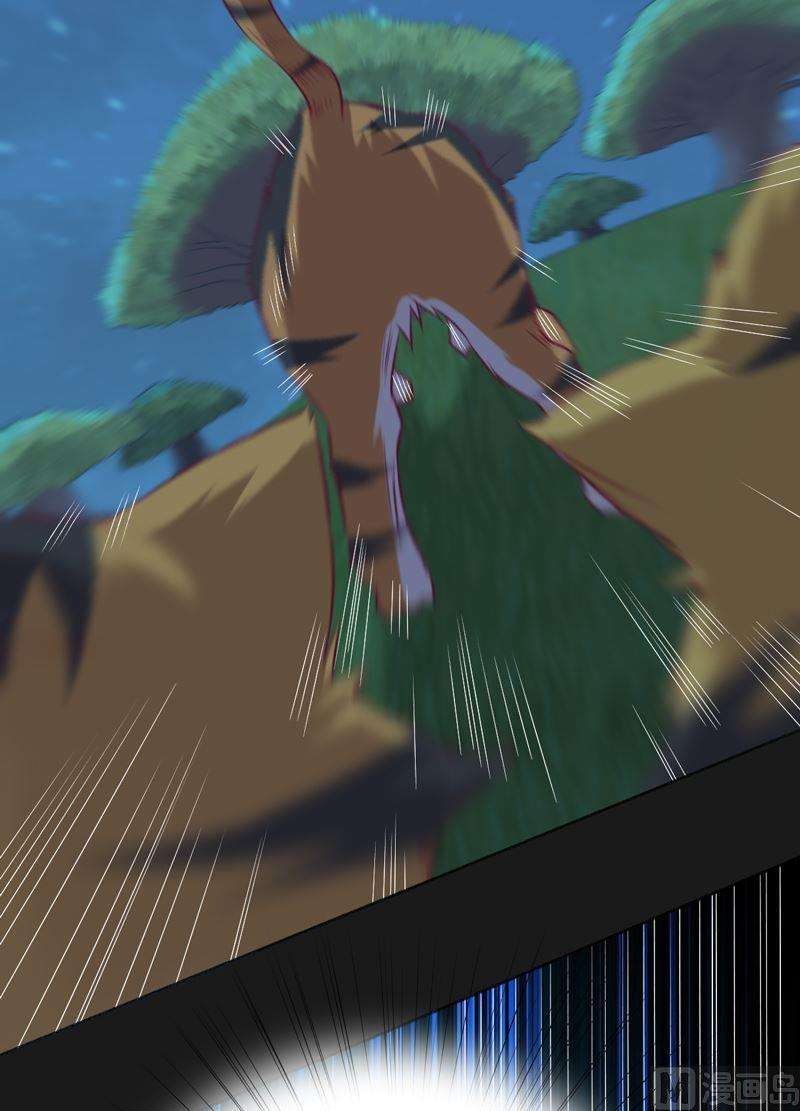 78.jpg