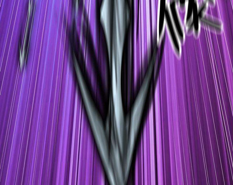 89.jpg