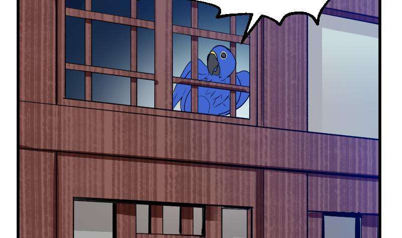 65.jpg