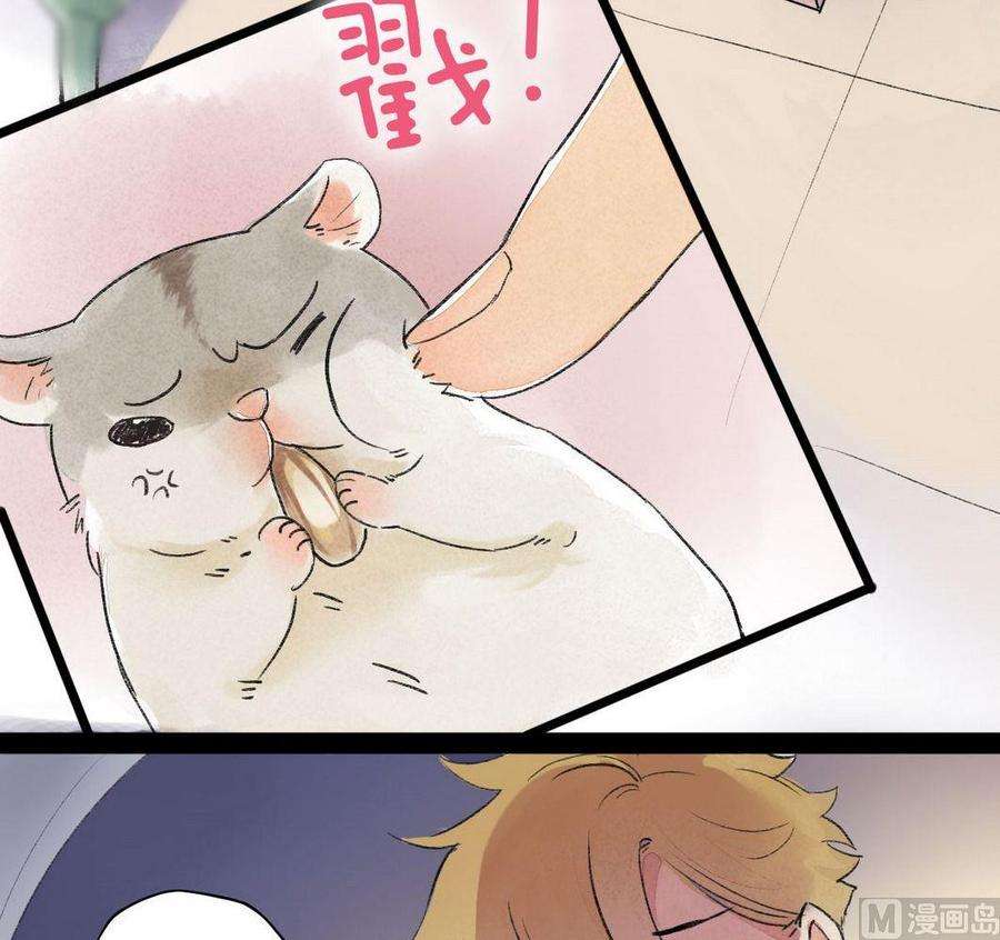 46.jpg