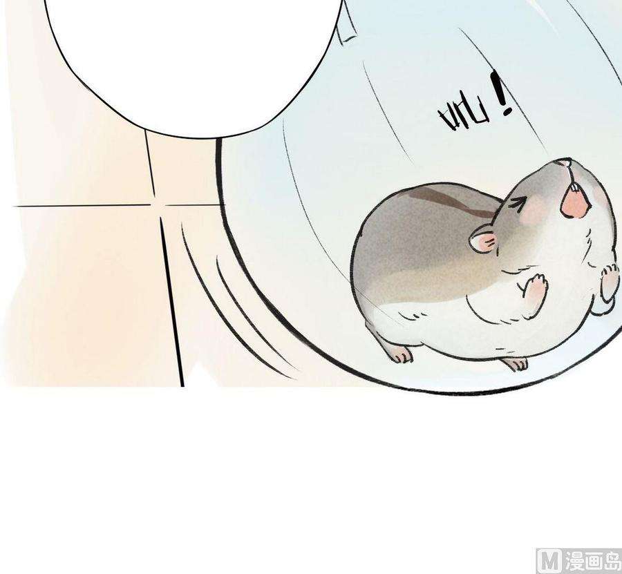 72.jpg