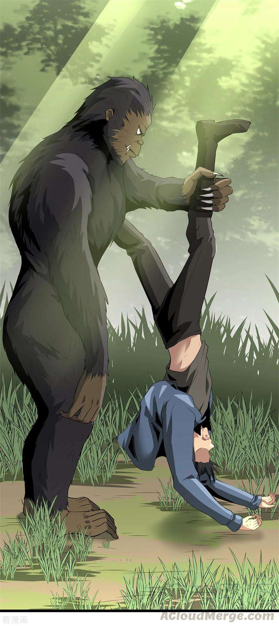 33.jpg