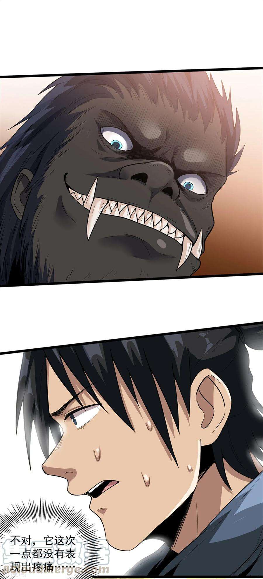25.jpg