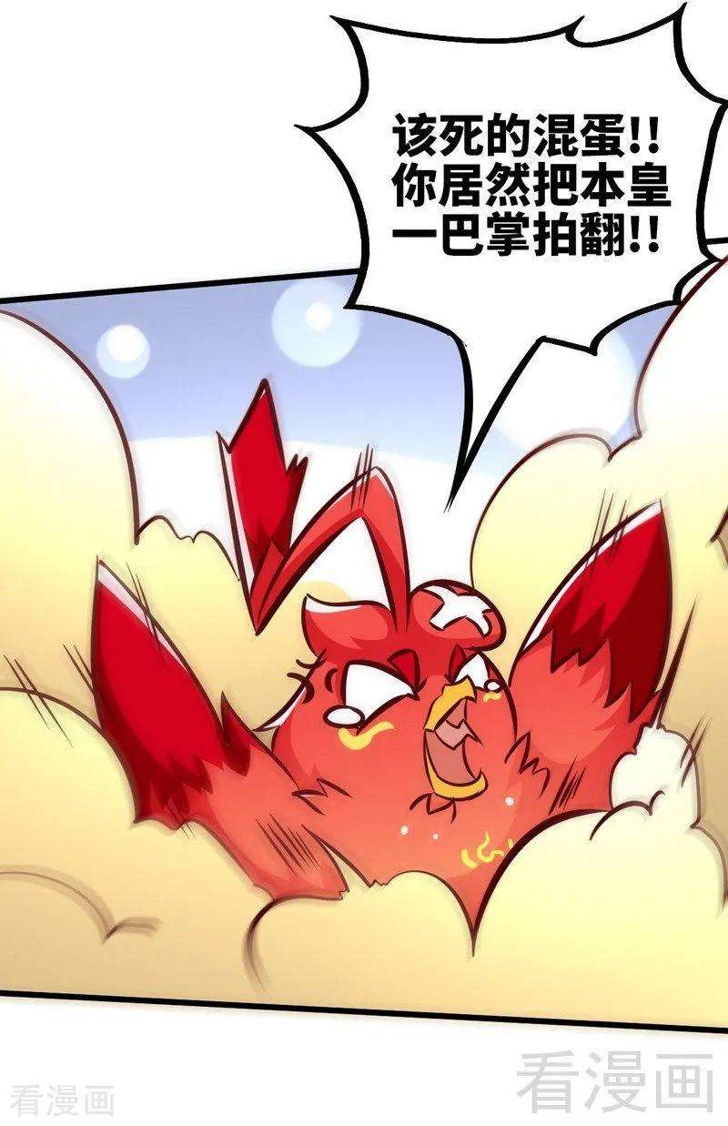 15.jpg