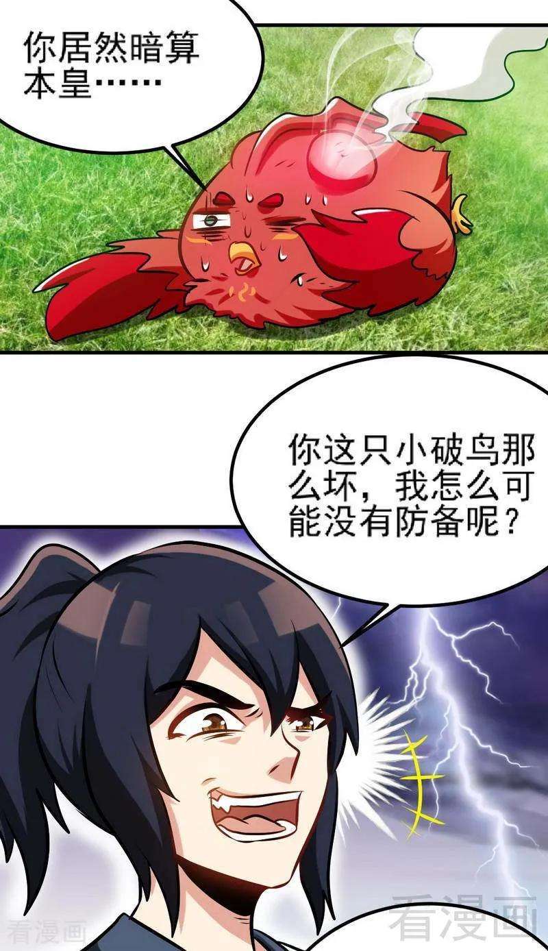 12.jpg
