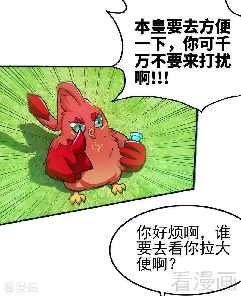 19.jpg