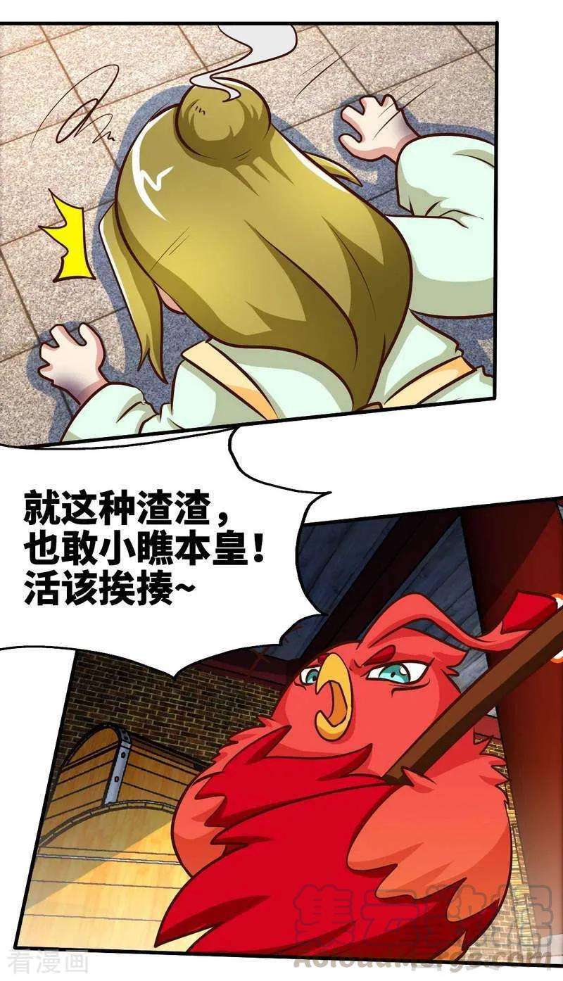 13.jpg