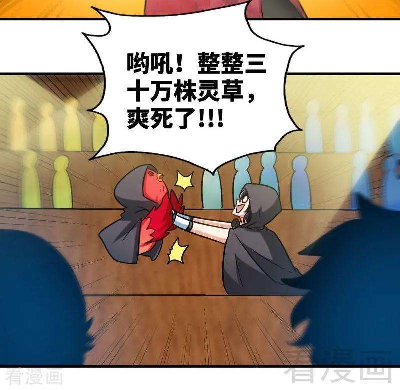15.jpg