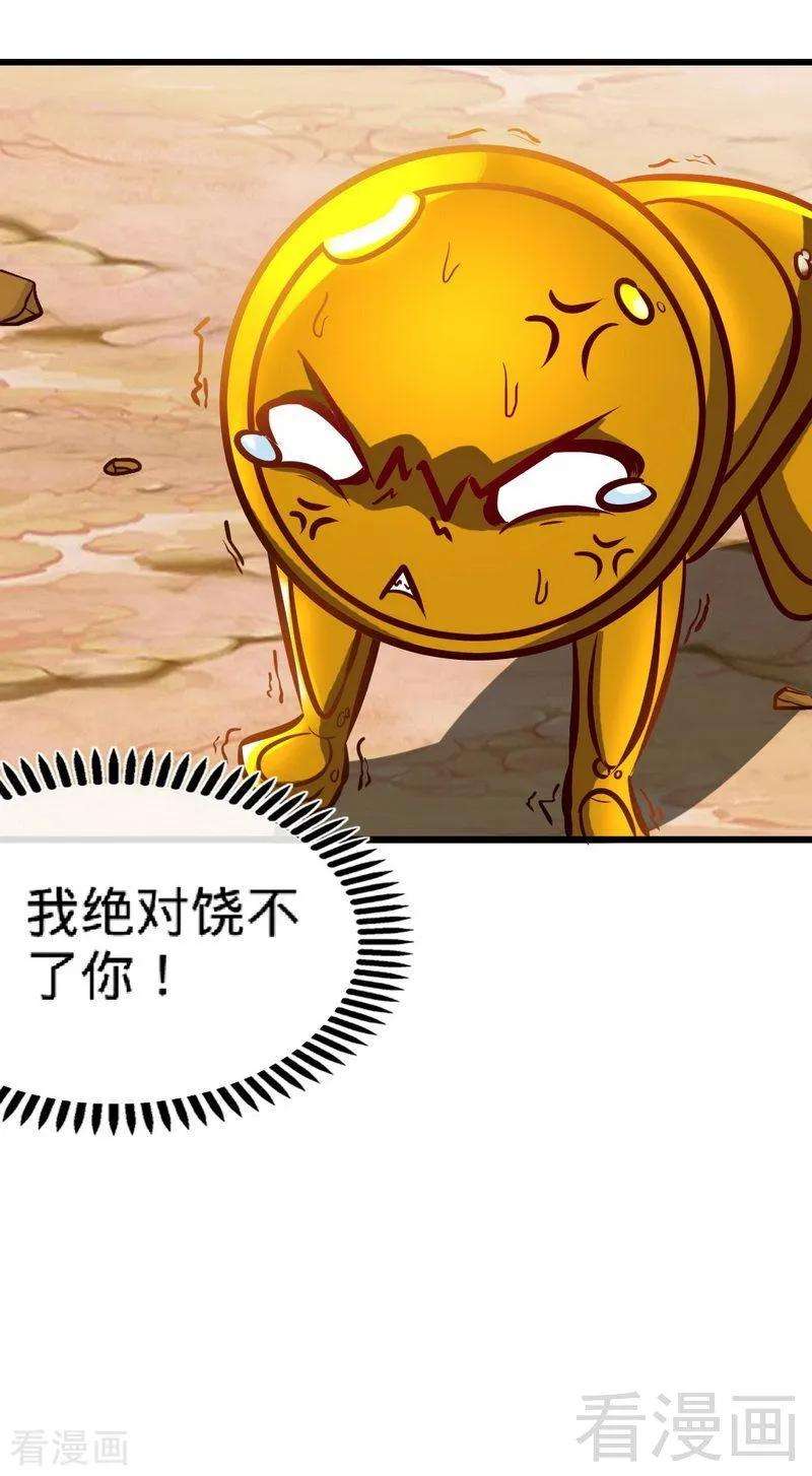 19.jpg