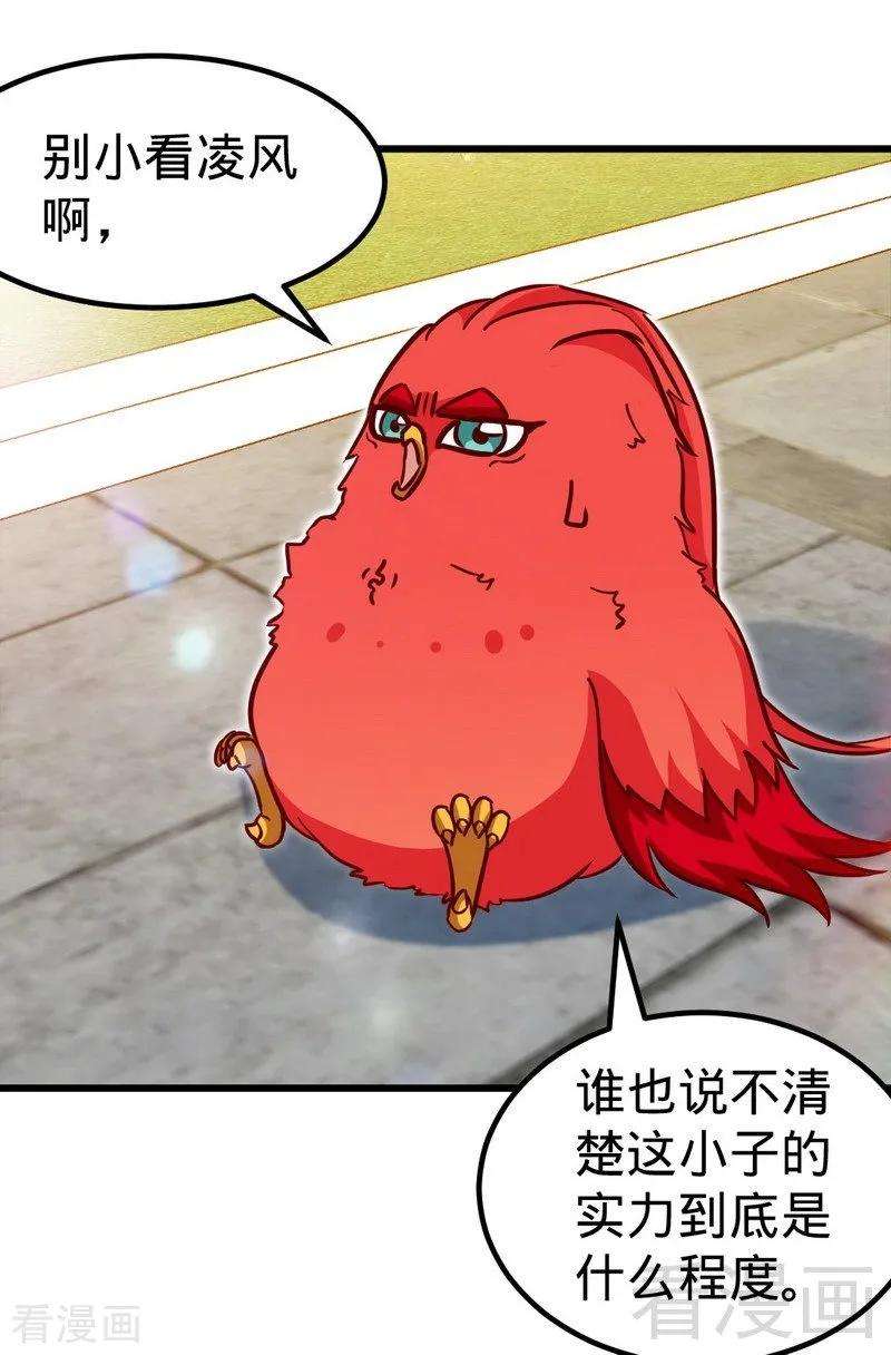 19.jpg