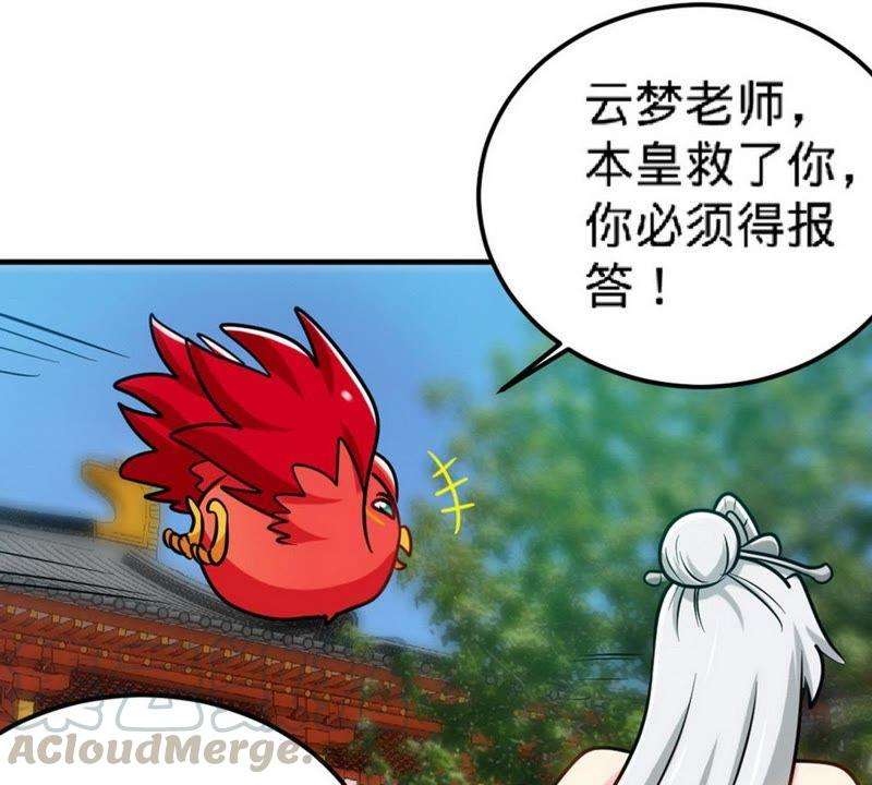 29.jpg