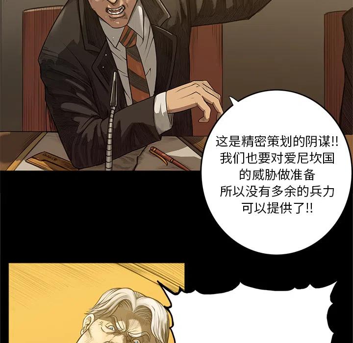 41.jpg