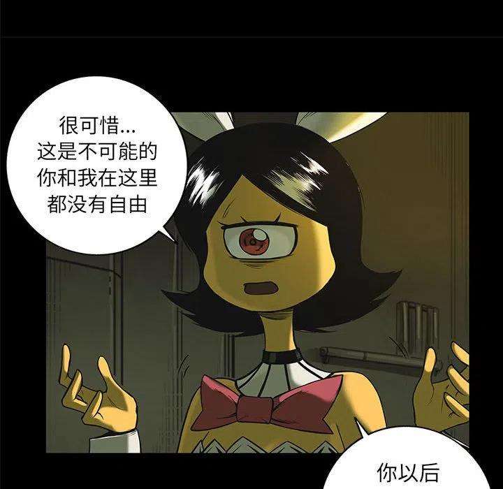 64.jpg