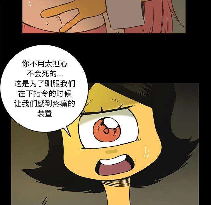 83.jpg