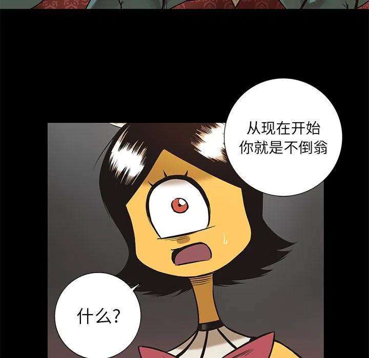 41.jpg
