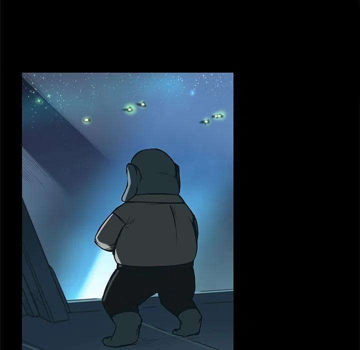 41.jpg