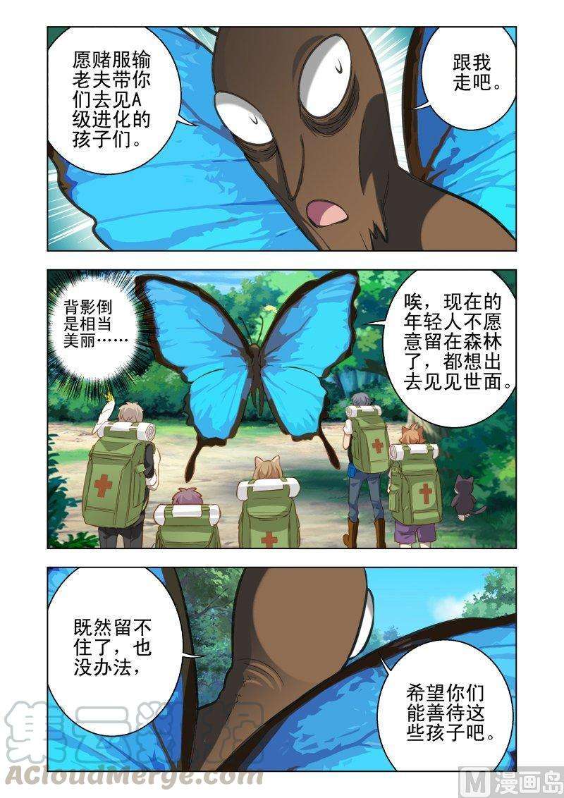 11.jpg