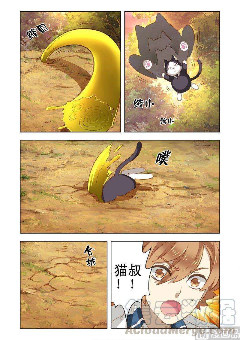 5.jpg