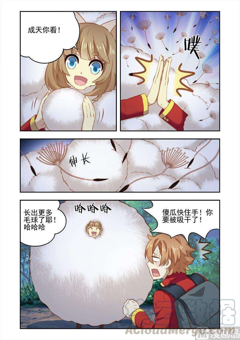 5.jpg