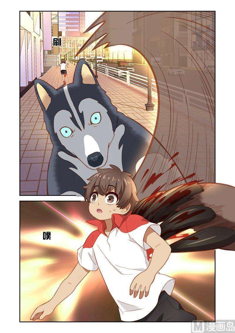 8.jpg